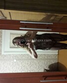 Анкета проститутки Даша - метро Тимирязевский, возраст - 35